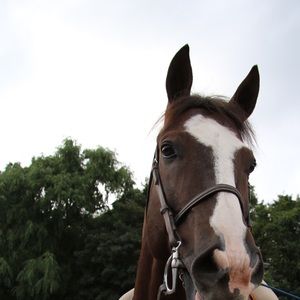 Meet your Posher, Mina